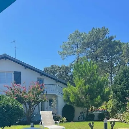 Piscine Golf Hossegor Villa